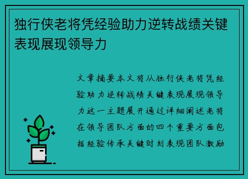 独行侠老将凭经验助力逆转战绩关键表现展现领导力