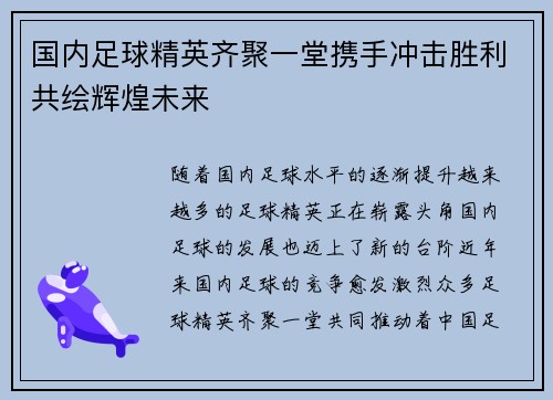 国内足球精英齐聚一堂携手冲击胜利共绘辉煌未来