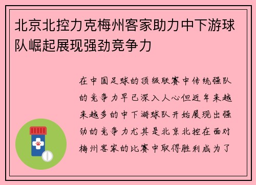 北京北控力克梅州客家助力中下游球队崛起展现强劲竞争力